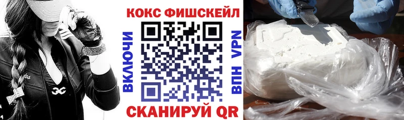 Какие есть наркотики Новая Ладога Псилоцибиновые грибы  КОКАИН  Меф мяу мяу  ГАШ 